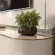 image-4.webp